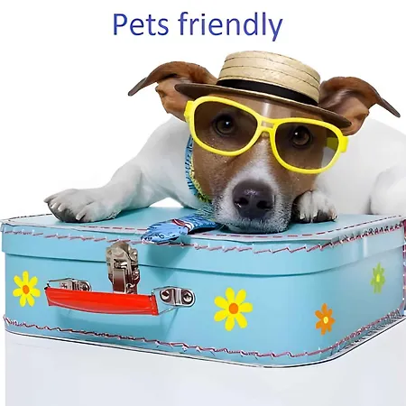 In 14275 Feriehus Jadranovo